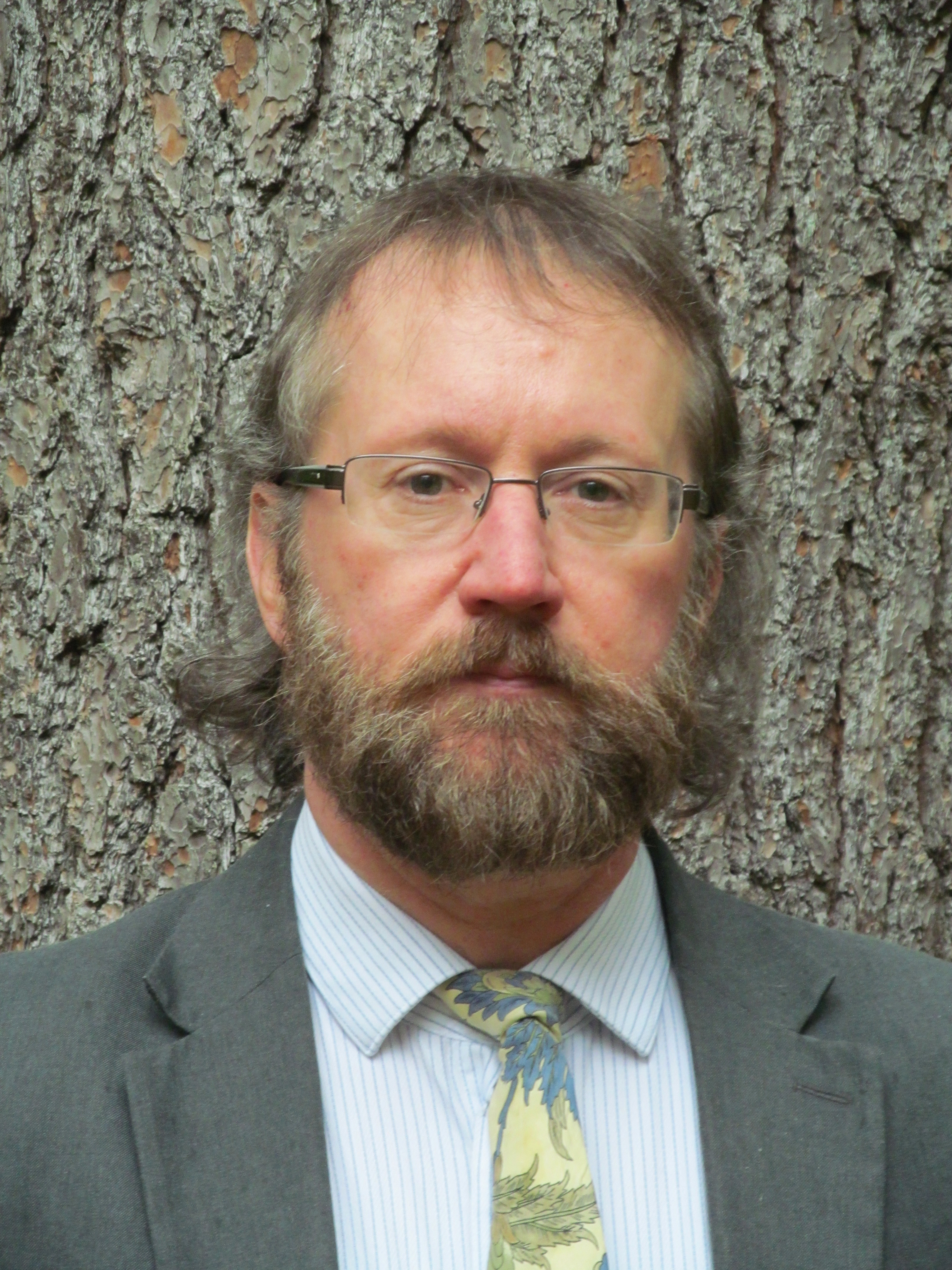 Headshot of faculty member Matthew Cron