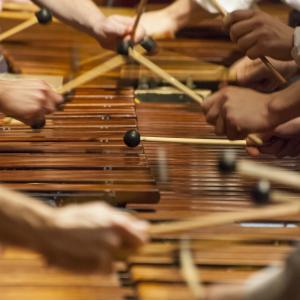 Multiple percussionists play multiple marimbas