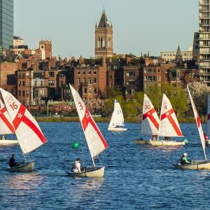 Sailboats racing on the Charles River