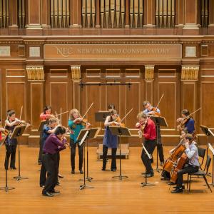 The N E C Chamber Orchestra in concert