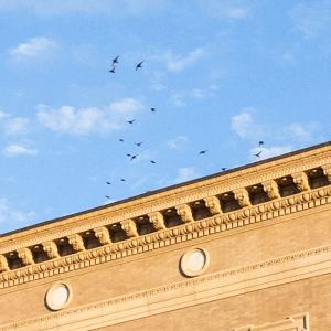 Architectural detail of Jordan Hall building with blue sky and birds flying overhead.